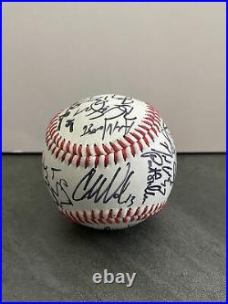 2010 South Carolina Full Team Signed National Champs College World Series CWS