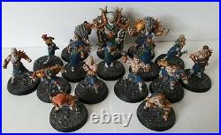 Blood Bowl Norse Full Team Painted