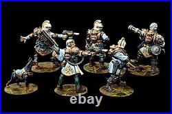 WH40K Elucidian Starstrider Kill Team Painted Rogue Trader Full Nitsch's