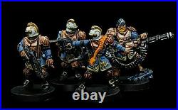 WH40K Elucidian Starstrider Kill Team Painted Rogue Trader Full Nitsch's Squad